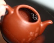 《魚(yú)樂(lè)》