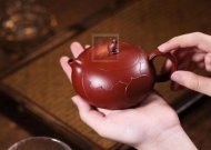 《一花一世界》宜興工藝美術師全手工紫砂壺茶壺老師大紅袍