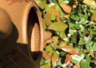 稱心如意；金葵段泥220CC