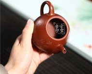 《魚(yú)樂(lè)》