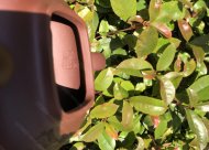 傳爐；底槽清450CC