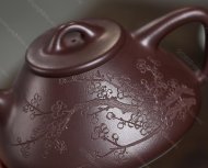 瓣生香獨傲寒，此梅難并眾梅看。 【