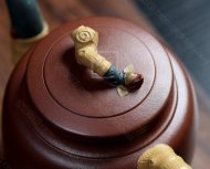 《花開(kāi)富貴》