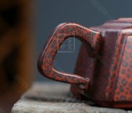 《金錢(qián)豹方》