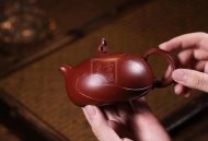 《一花一世界》宜興工藝美術師全手工紫砂壺茶壺老師大紅袍