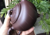 竹韻飄香；紫泥350CC