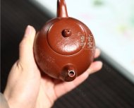 《魚(yú)樂(lè)》