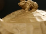 《長(zhǎng)生》