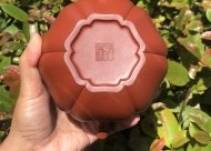 葵仿古；大紅袍450CC