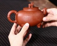 《萬(wàn)象更新》