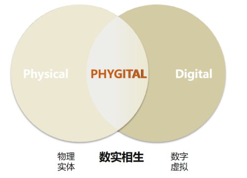 數(shù)實(shí)相生 數(shù)字化服務(wù)轉(zhuǎn)型發(fā)展的統(tǒng)籌與融通